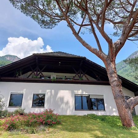 Villa Pinie Apt 1 Terlano Extérieur photo