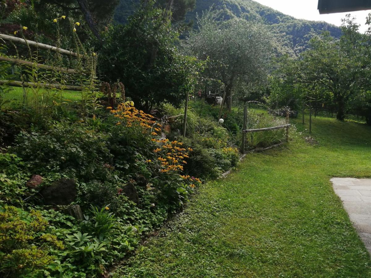 Villa Pinie Apt 1 Terlano Extérieur photo